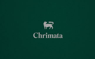 上海品牌策划设计公司分享 chrimata投资咨询公司品牌形象设计vi设计